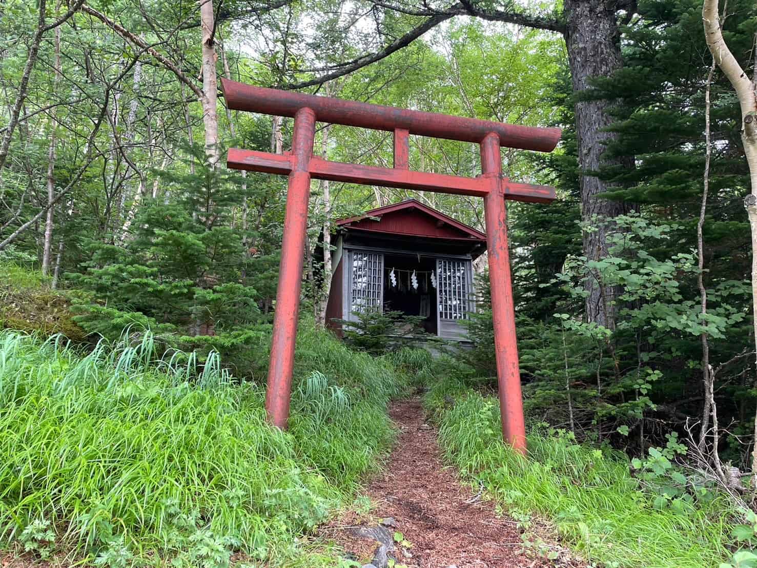富士山吉田口登山道、滝沢林道